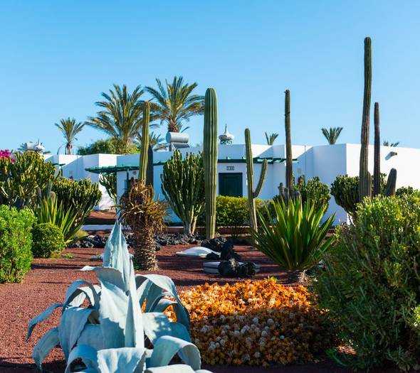 Jardines Hotel HL Club Playa Blanca**** Lanzarote