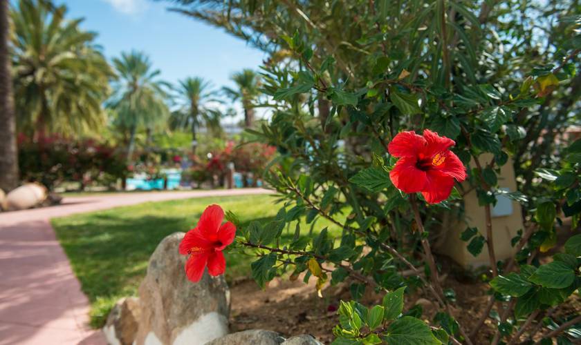 Jardines Hotel HL Miraflor Suites**** Gran Canaria