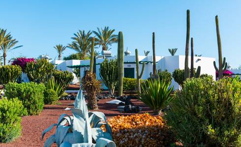 JARDINES Hotel HL Club Playa Blanca**** en Lanzarote