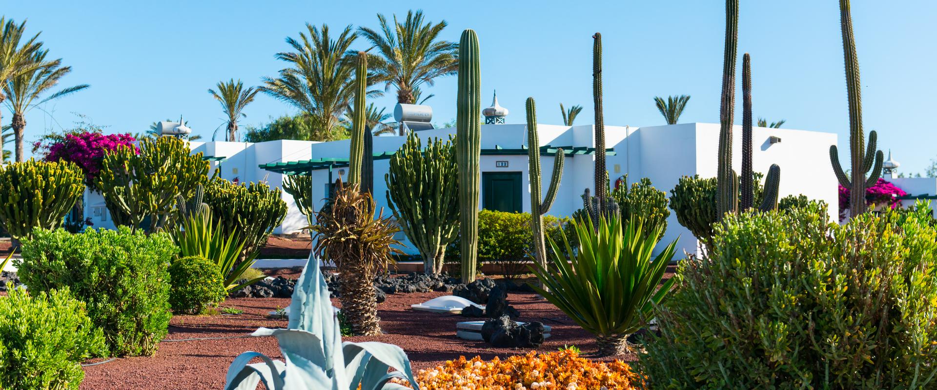 Hotel HL Club Playa Blanca**** Lanzarote Hotel HL Club Playa Blanca**** Lanzarote